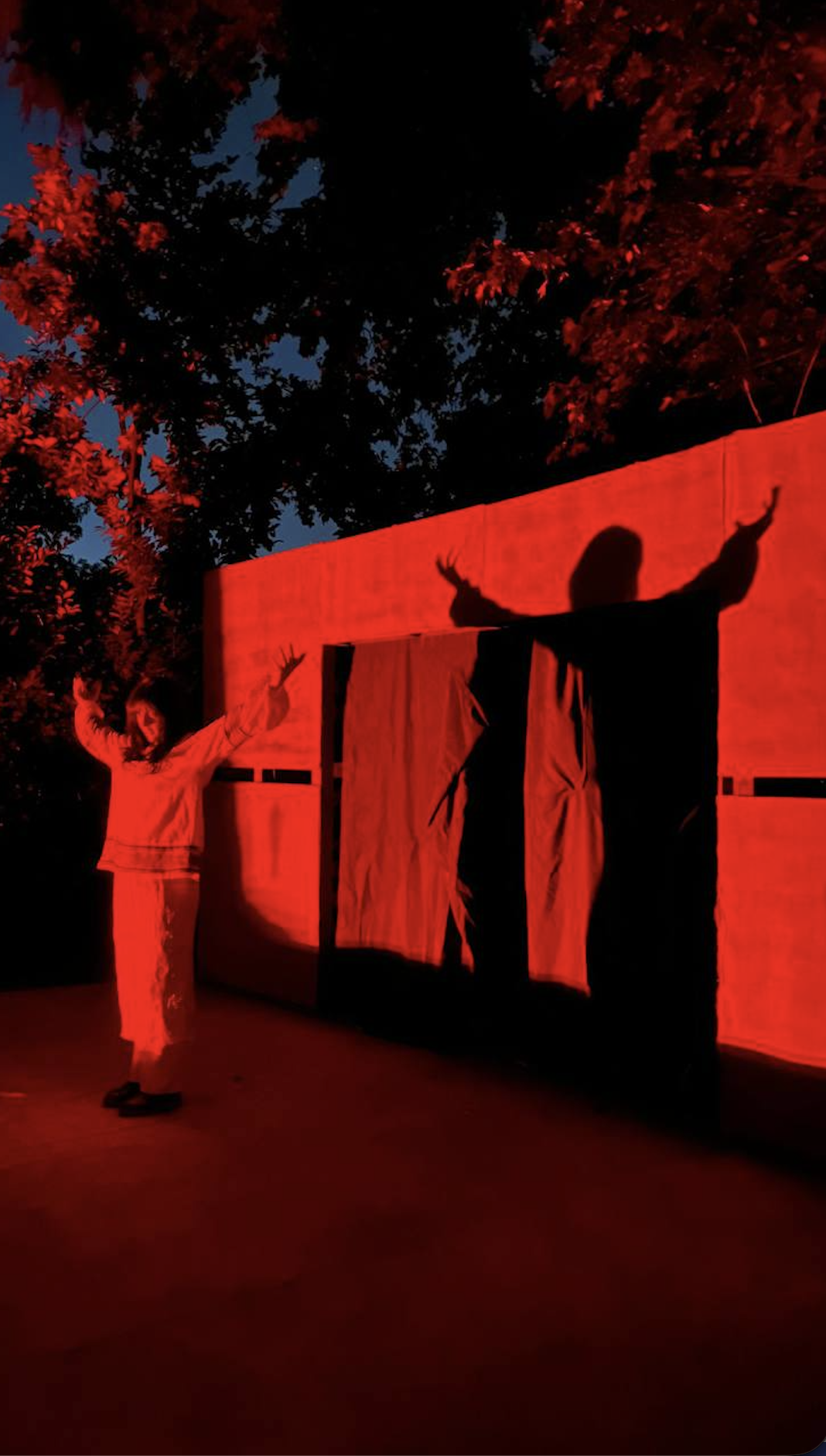 Un'attrice con le braccia aperte davanti a un muro illuminato di rosso, la sua ombra proiettata alle spalle